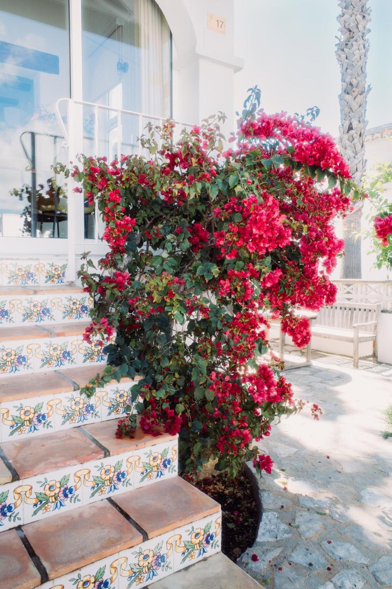 Casa Bianca 2 Villa Teulada Dış mekan fotoğraf